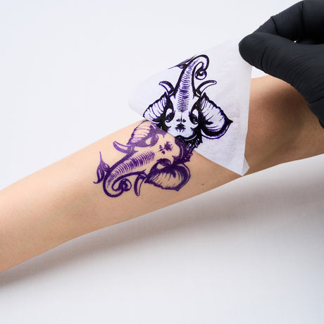 プロトン_サンプル_貼り付け前