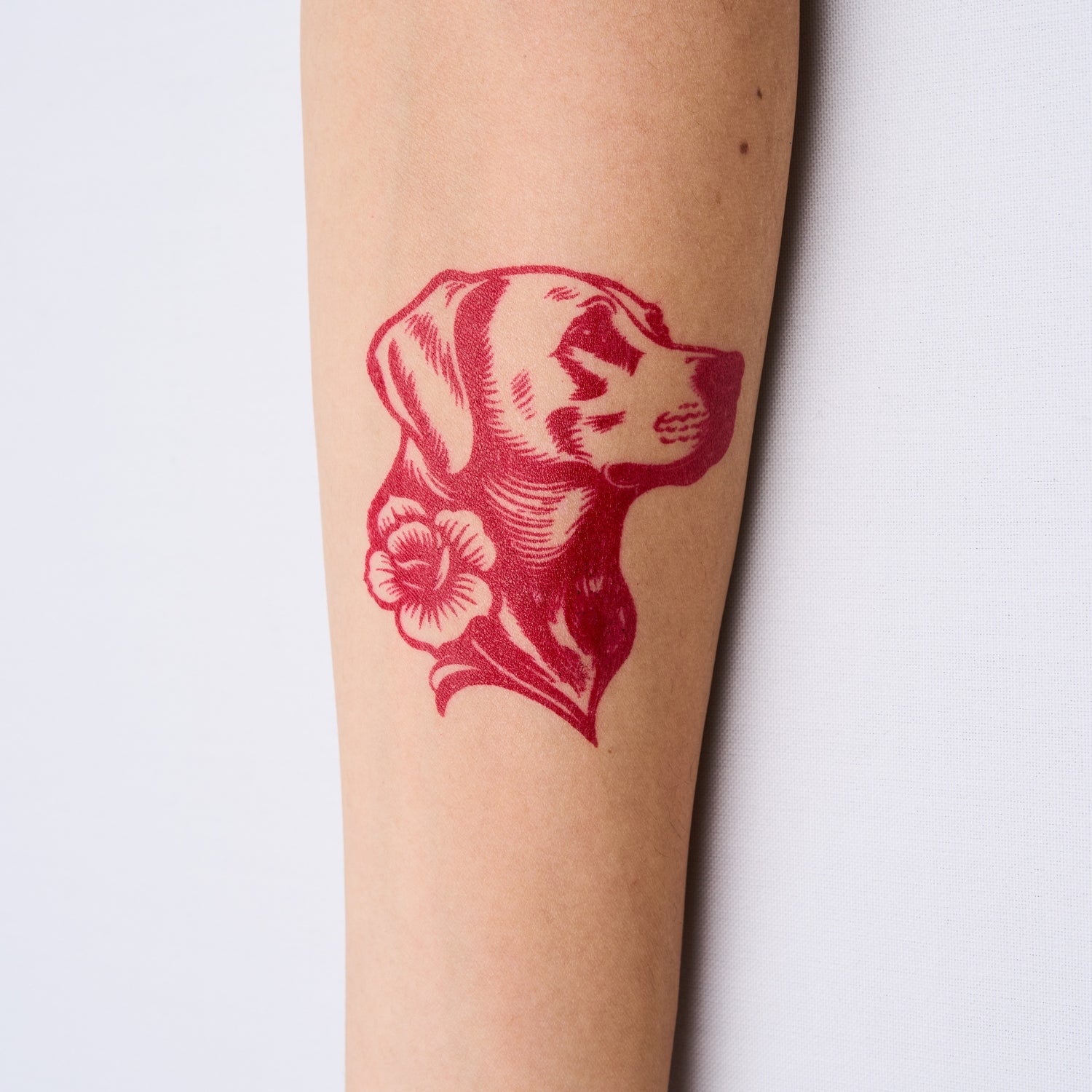 s8_サンプル_貼り付け後