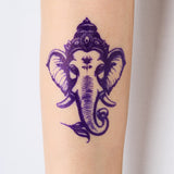 プロトン_サンプル_貼り付け後