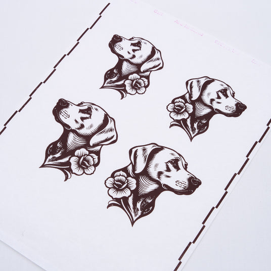 s8_サンプル_貼り付け後